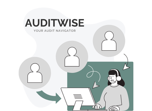 auditwise-aboutus-img